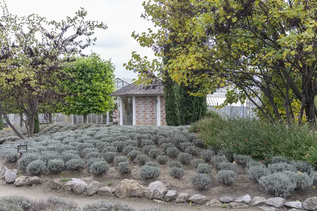 Foto: René Brunhölzl/MeinBezirk