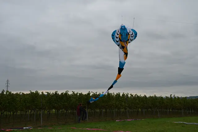 Foto: Stadtgemeinde Hollabrunn