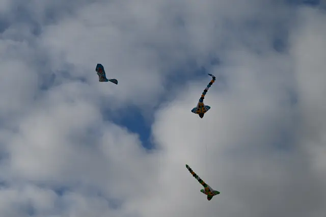 Foto: Stadtgemeinde Hollabrunn