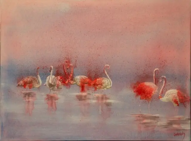Bild by Rudolf Schar | Foto: Rudolf Schar