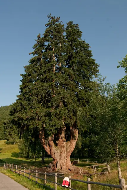 Foto: Mittelpunktverein Arriach