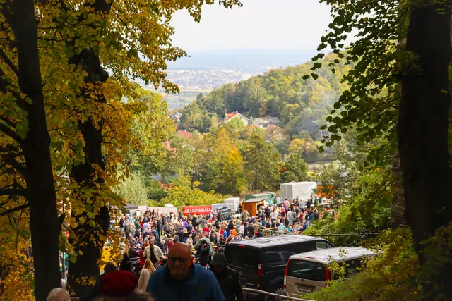 Foto: Alejandra Ortiz