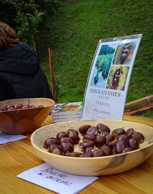 Foto: Alejandra Ortiz