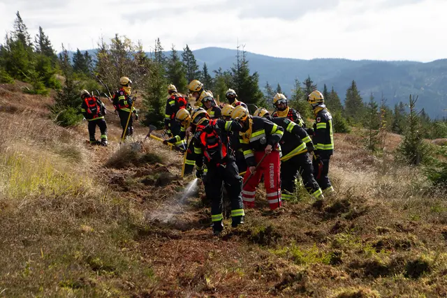Der 2. Waldbrandlöschzug WBZUG 2/57 - BFV Weiz bekämpfte das Feuer.  | Foto: KHD 57 BFV Weiz