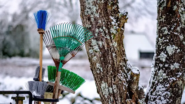 Kendler Services aus Neuhofen an der Krems sorgt mit Profi-Methoden für sichere Einwinterung von Garten und Terrasse. | Foto: freepik