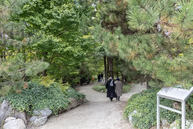 Foto: René Brunhölzl/MeinBezirk