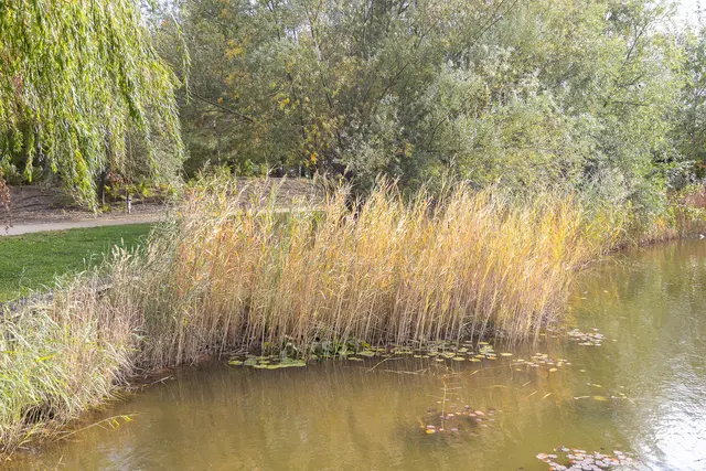 Foto: René Brunhölzl/MeinBezirk