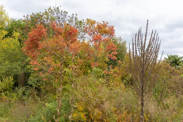 Foto: René Brunhölzl/MeinBezirk