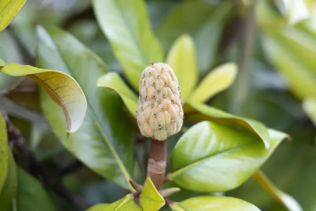 Foto: René Brunhölzl/MeinBezirk