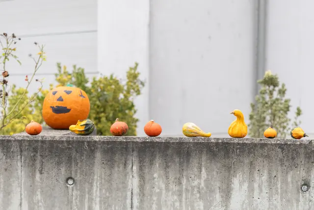 Foto: René Brunhölzl/MeinBezirk