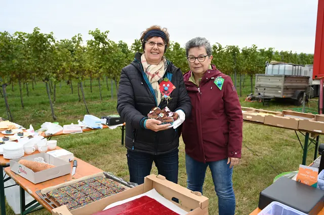 Foto: Stadtgemeinde Hollabrunn