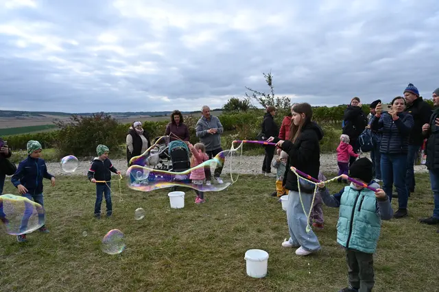 Foto: Stadtgemeinde Hollabrunn
