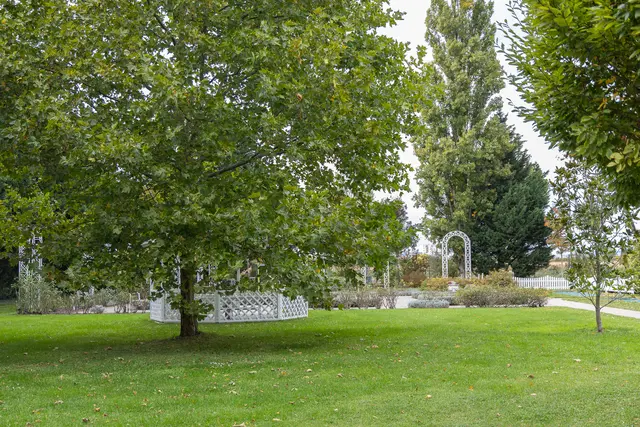 Foto: René Brunhölzl/MeinBezirk