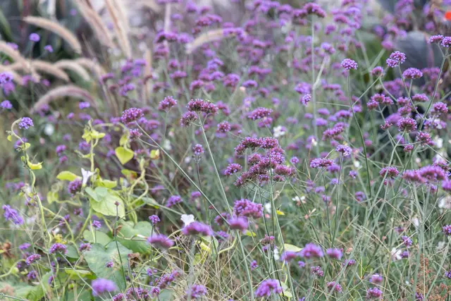 Foto: René Brunhölzl/MeinBezirk