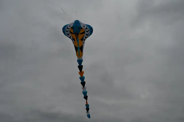 Foto: Stadtgemeinde Hollabrunn