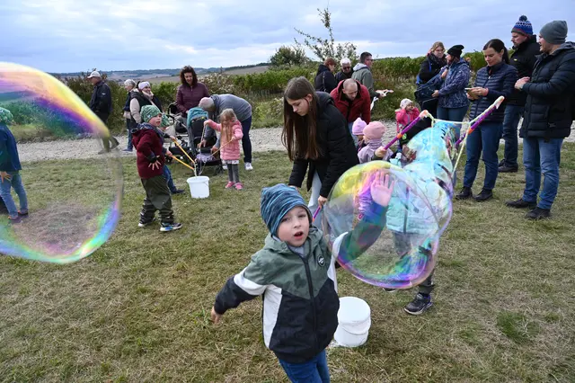 Foto: Stadtgemeinde Hollabrunn