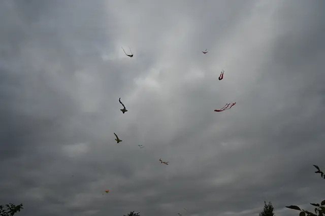 Foto: Stadtgemeinde Hollabrunn