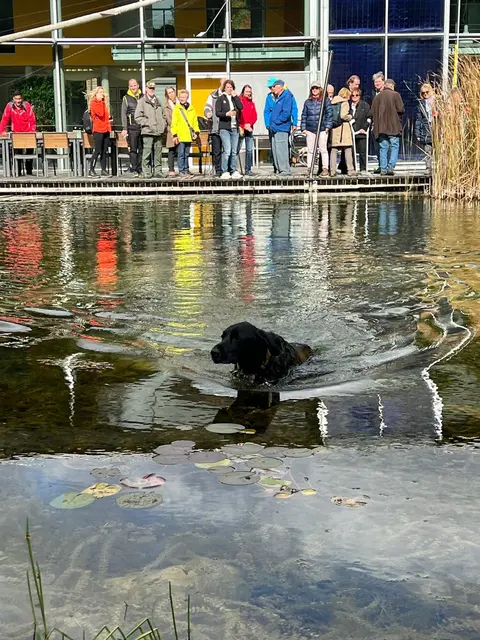 Foto: zVg