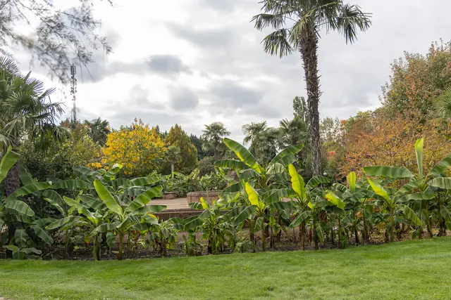 Foto: René Brunhölzl/MeinBezirk