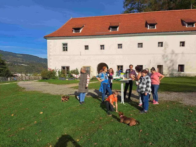 Begleitet von fröhlichem Gebell, guter Laune und buntem Herbstlaub wurde unterwegs geplaudert, gelacht und neue Bekanntschaften geschlossen – sowohl unter den Zweibeinern als auch unter den Vierbeinern. | Foto: Tierschutzverein Idefix