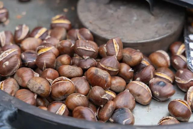 Foto: René Brunhölzl/MeinBezirk