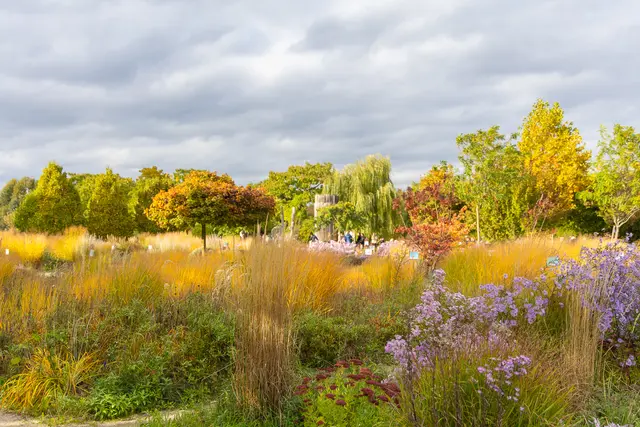 Foto: René Brunhölzl/MeinBezirk