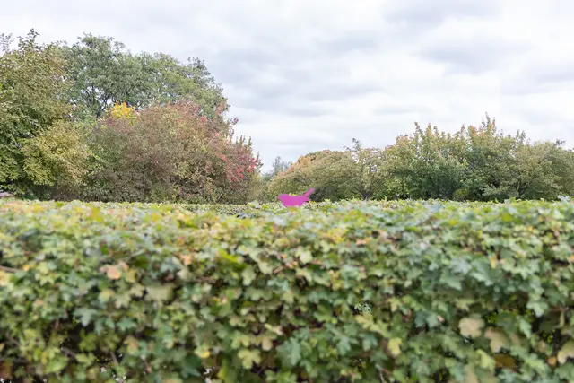 Foto: René Brunhölzl/MeinBezirk