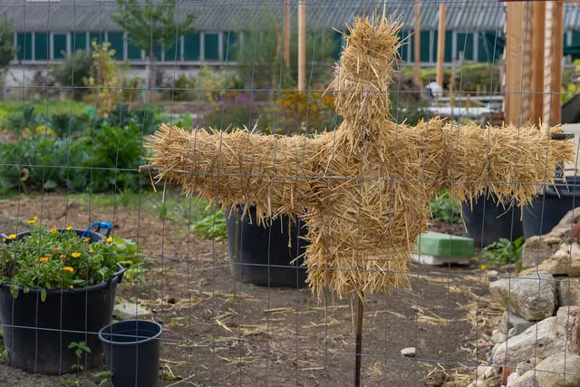 Foto: René Brunhölzl/MeinBezirk