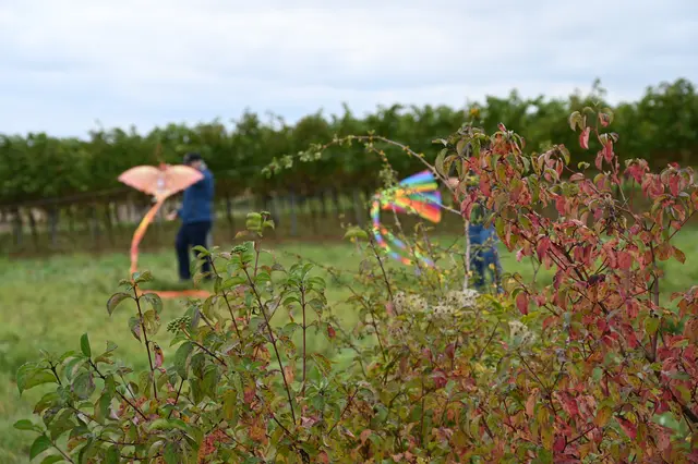 Foto: Stadtgemeinde Hollabrunn
