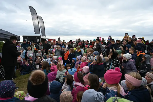 Foto: Stadtgemeinde Hollabrunn