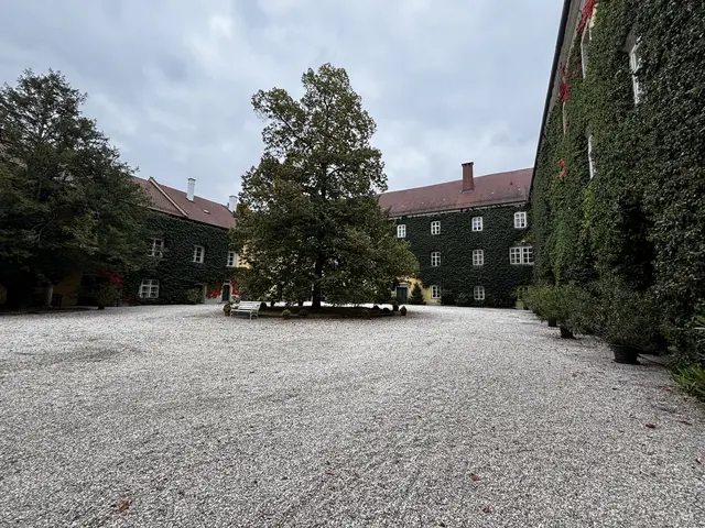 Foto: MeinBezirk/Constance Haslberger