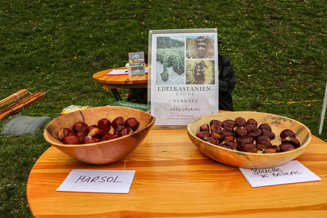 Foto: Alejandra Ortiz