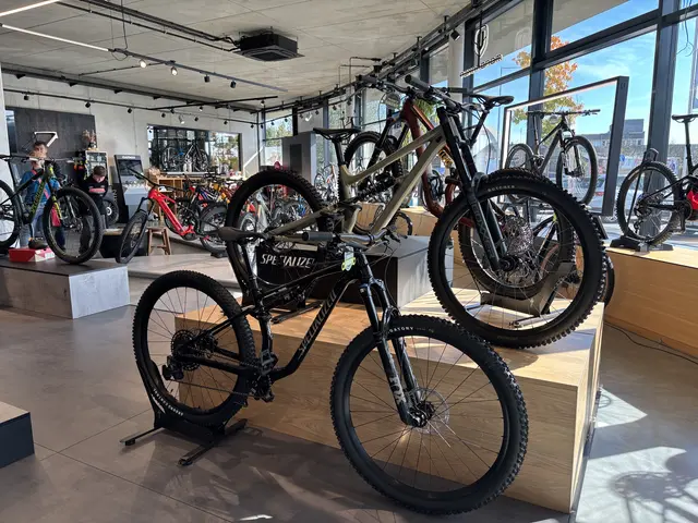 Foto: MeinBezirk/Engelmann