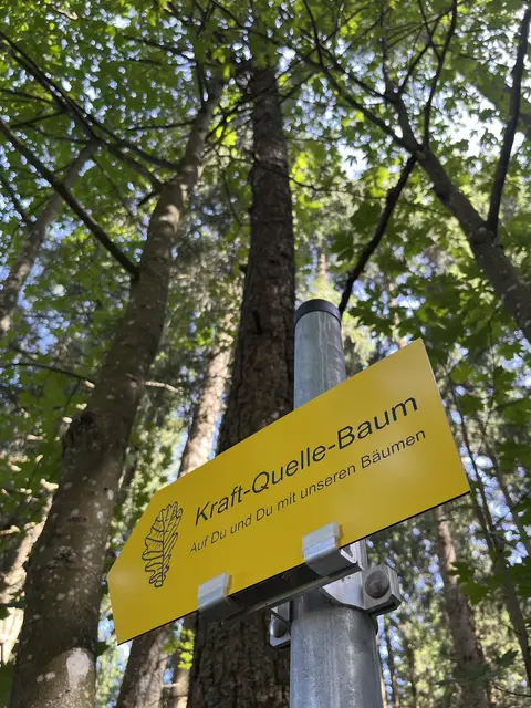 Foto: Gerald Lindorfer