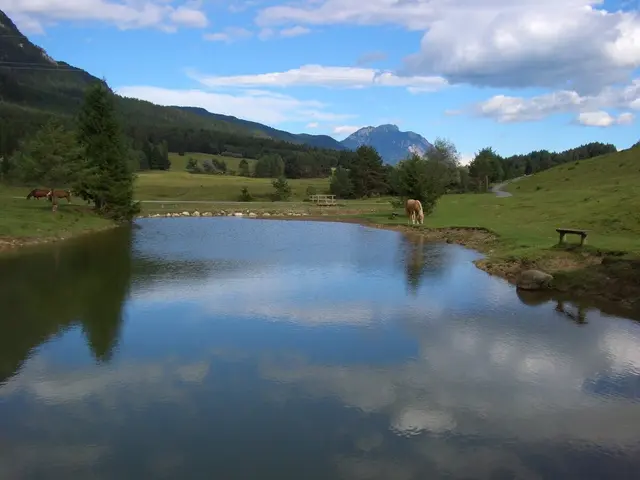 Blick auf den Naturgarten Siebenbrünn: Zwischen Wasser, Wiesen und Bergen lädt das Gebiet zum Entspannen und Entdecken ein. | Foto: Gemeinde St. Stefan