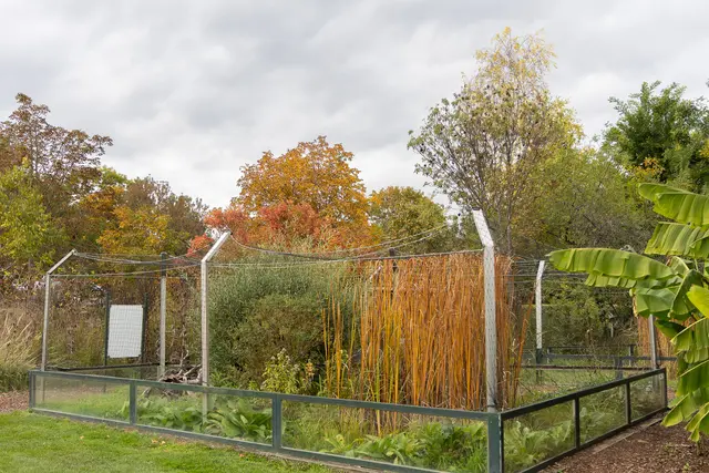 Foto: René Brunhölzl/MeinBezirk