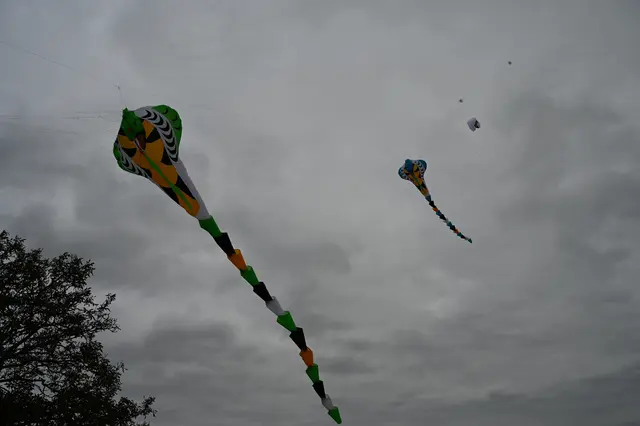 Foto: Stadtgemeinde Hollabrunn