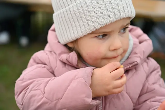 Foto: Stadtgemeinde Hollabrunn