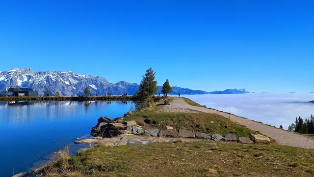 Oben Sonne, unten Nebel
