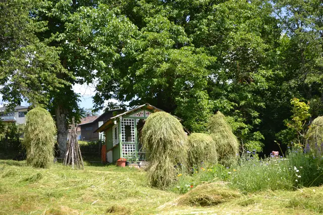 Foto: Mittelpunktverein Arriach