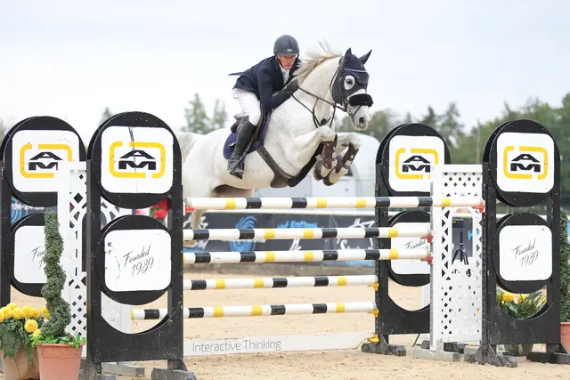 Sönke Kohrock mit "Iton Du Plan D'Eau". | Foto: Horsepic.at by Brunnmayr