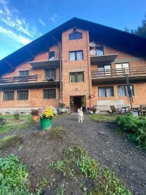 In dem Tierschutzhaus im Scheibsgraben in St. Barbara leben bis zu 20 ältere, ängstliche oder traumatisierte Hunde.  | Foto: Stibis Hundeparadies