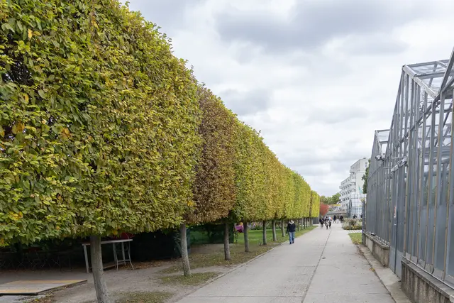 Foto: René Brunhölzl/MeinBezirk