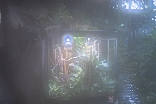 Foto: René Brunhölzl/MeinBezirk