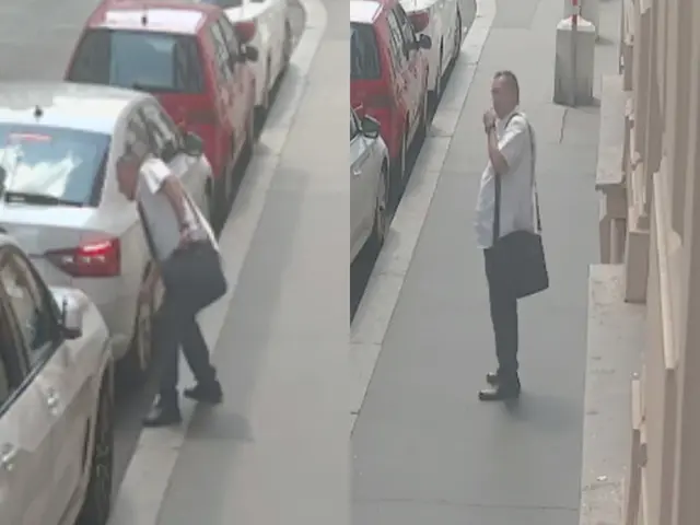 Dieser Mann soll mit zwei mutmaßlichen Komplizen dem späteren Opfer zuerst die Autoreifen aufgestochen und später viel Bargeld gestohlen haben. | Foto: LPD Wien