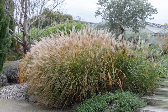 Foto: René Brunhölzl/MeinBezirk