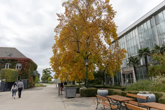 Foto: René Brunhölzl/MeinBezirk