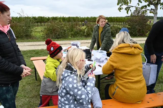 Foto: Stadtgemeinde Hollabrunn