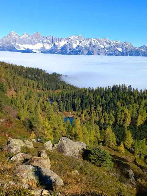 Blick auf den Untersee und den Waldsee