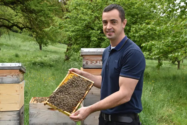 Eine der Hauptvoraussetzungen für die Bio-Bienenhaltung ist ein rückstandsloses Bienenwachs und dessen regelmäßige Kontrolle. | Foto: Kristina Orasche